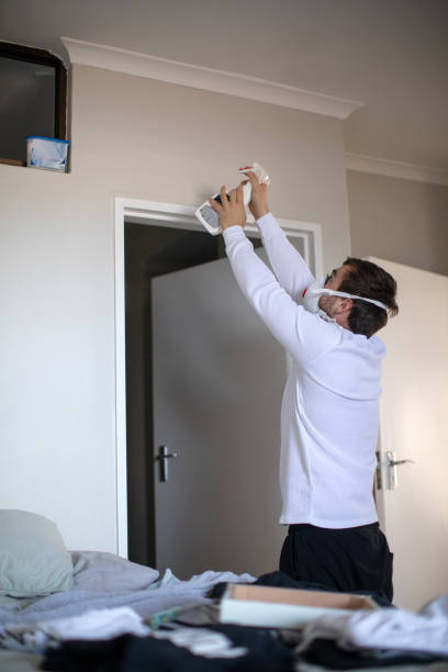 Best Mold Odor Removal Services  in Copeland, OK