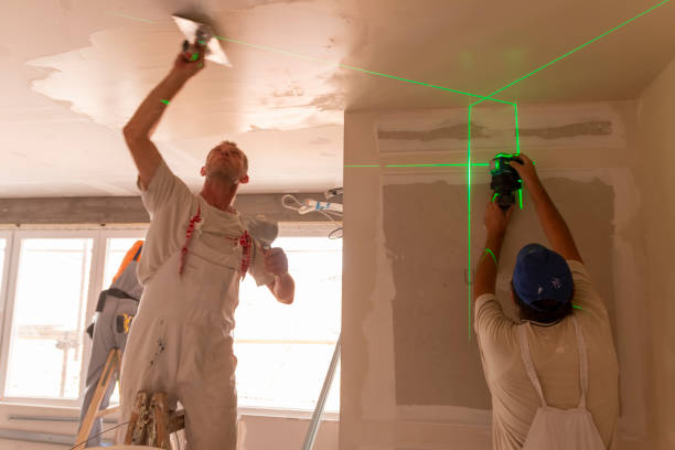 Best Attic Mold Removal  in Copeland, OK