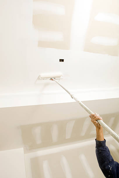 Best Black Mold Removal  in Copeland, OK